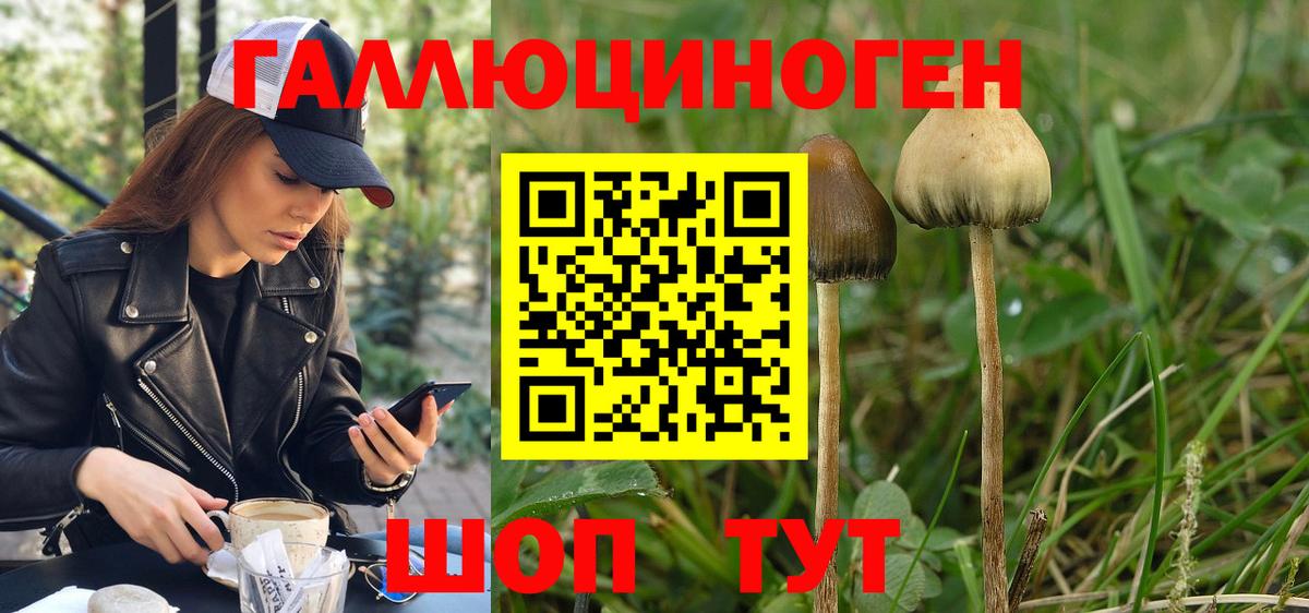 Галлюциногенные грибы мухоморы  Вход с VPN  Домодедово 