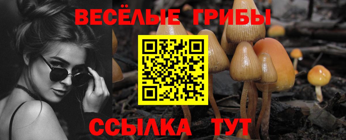 Псилоцибиновые грибы Cubensis Домодедово